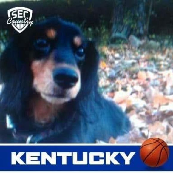 Meet your Posher, Troy - Picture 1 of 1